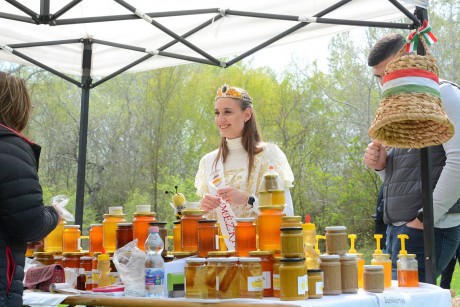 Felavatták a Beporzók rétjét a Sóstó Természetvédelmi Területen